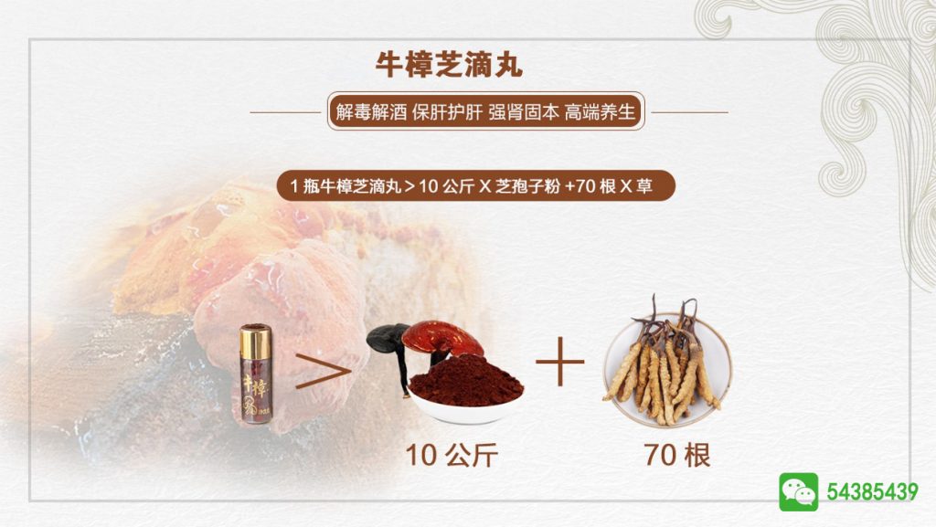 台湾进口牛樟芝产品介绍
