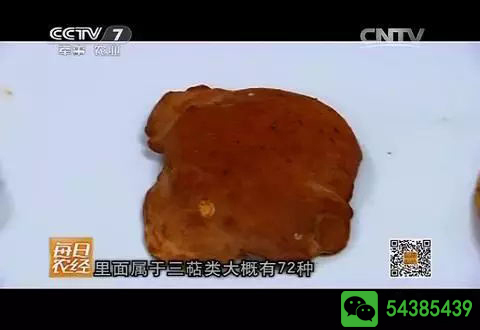 央视报道台湾牛樟芝-有仙丹之称的抗癌解酒神器,这位明星都在用。更是老板们青睐的送礼尚品。