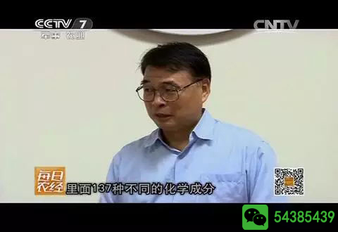 央视报道台湾牛樟芝-有仙丹之称的抗癌解酒神器,这位明星都在用。更是老板们青睐的送礼尚品。